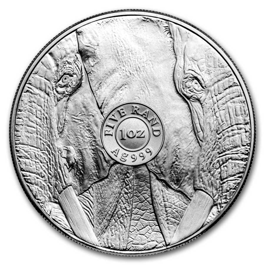31.10 гр. – Сребърна Монета Южна Африка „Big Five“ – Слон 2024 (Серия III)
