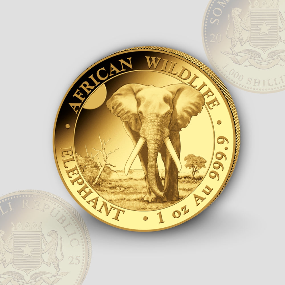 31.1 g (1 oz) – Златна Монета Сомалийски слон (Somalia Elephant) 2025