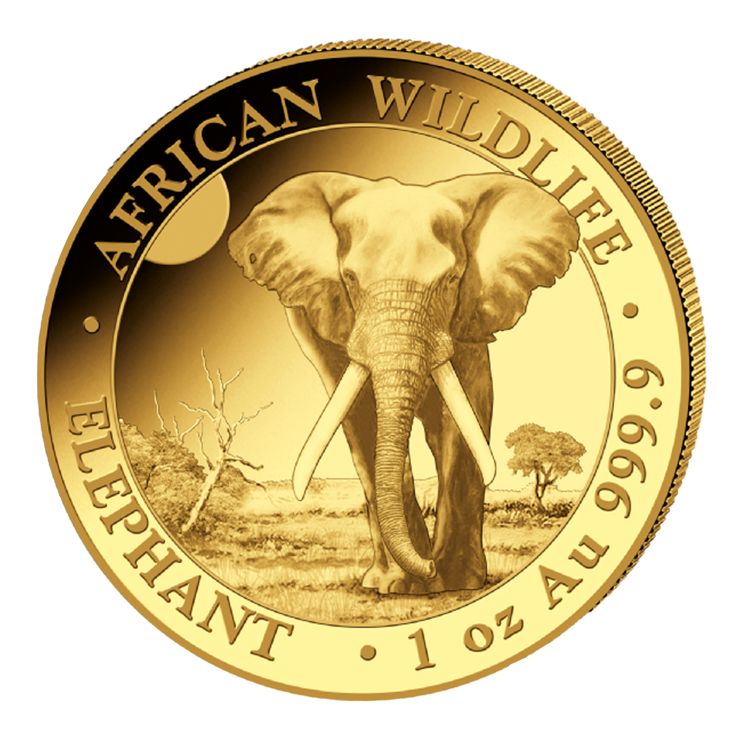 31.1 g (1 oz) – Златна Монета Сомалийски слон (Somalia Elephant) 2025