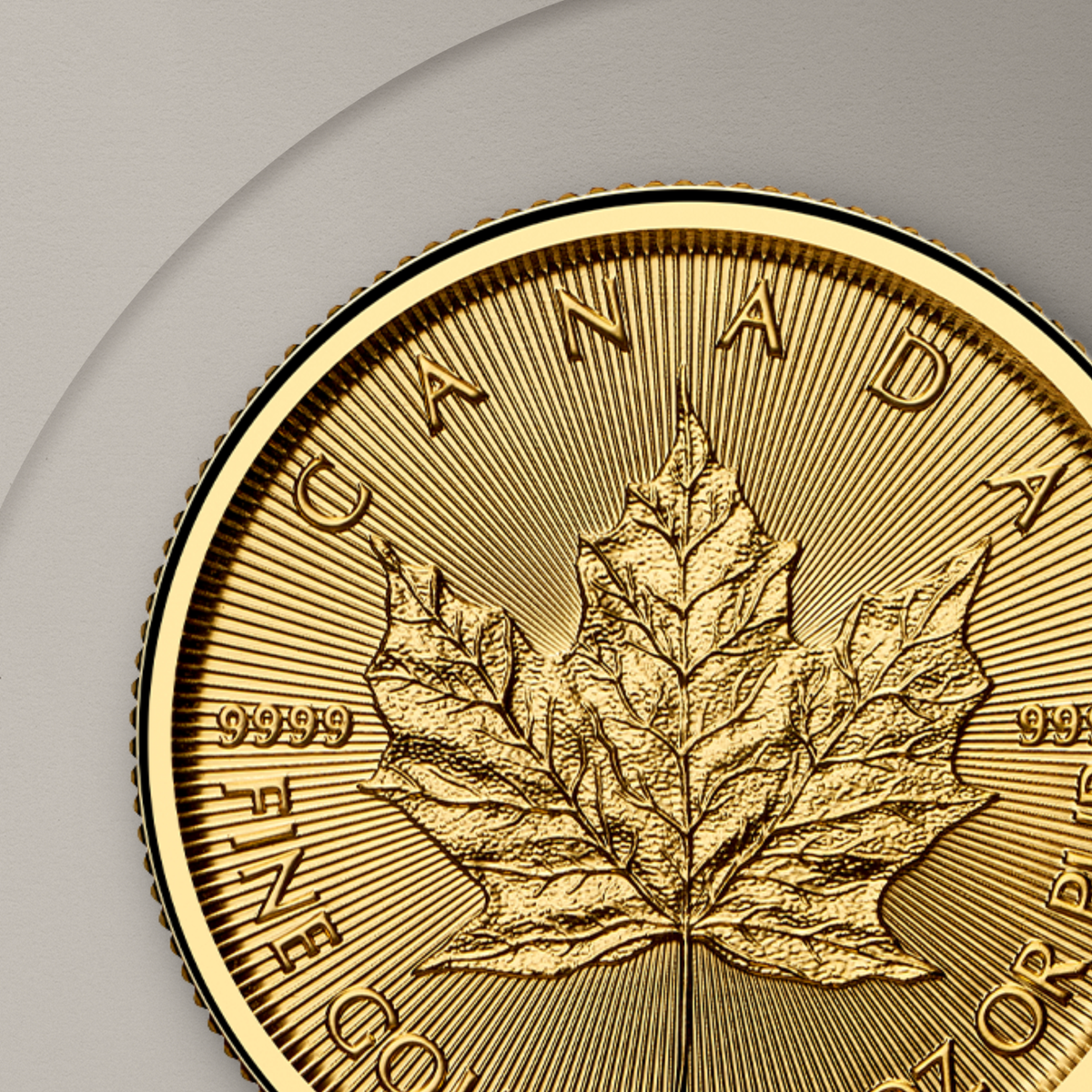 3.11 гр. (1/10 oz) – Златна Монета Канадски Кленов Лист (2026)