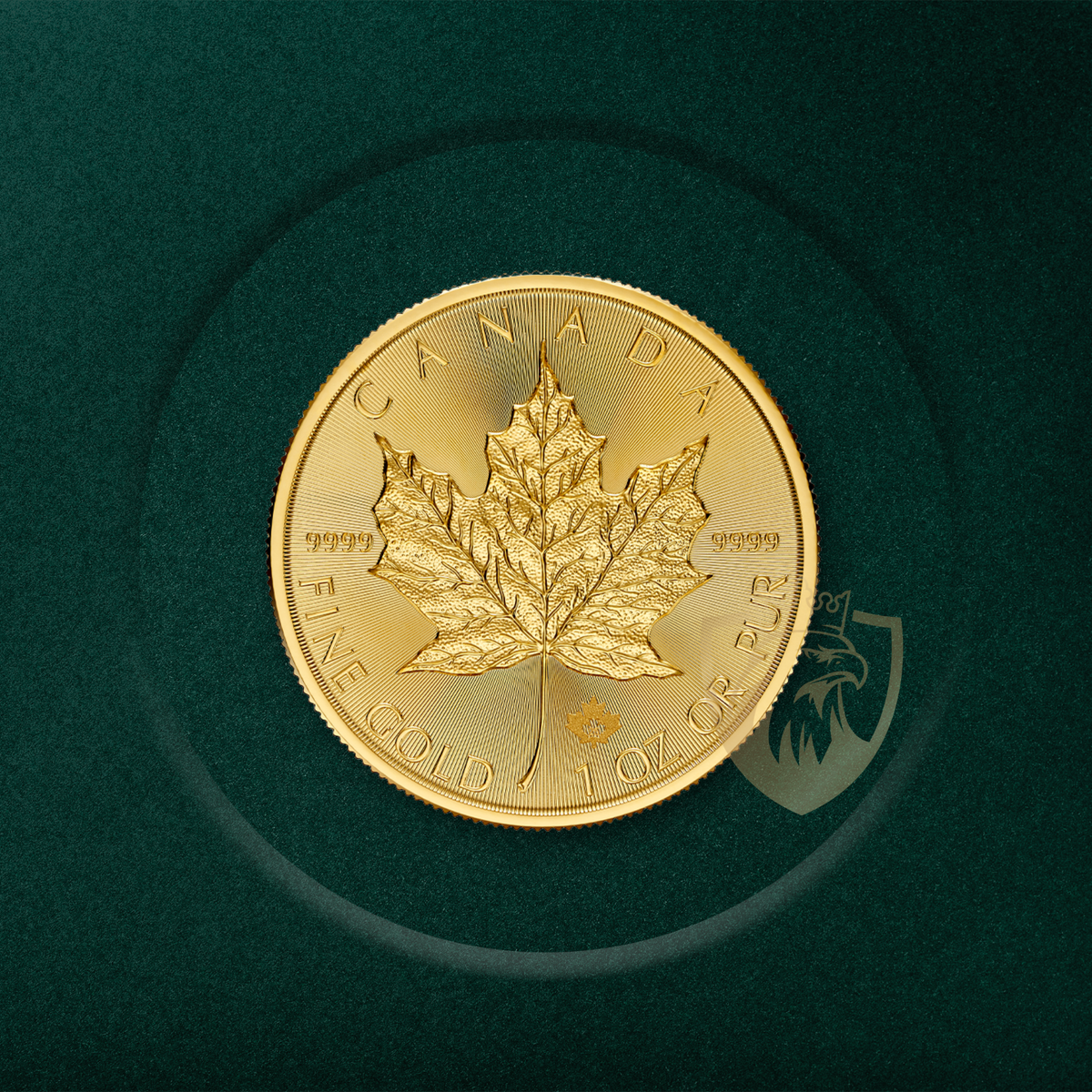 31.1 гр. (1 oz) – Златна Монета Канадски Кленов Лист - 2026
