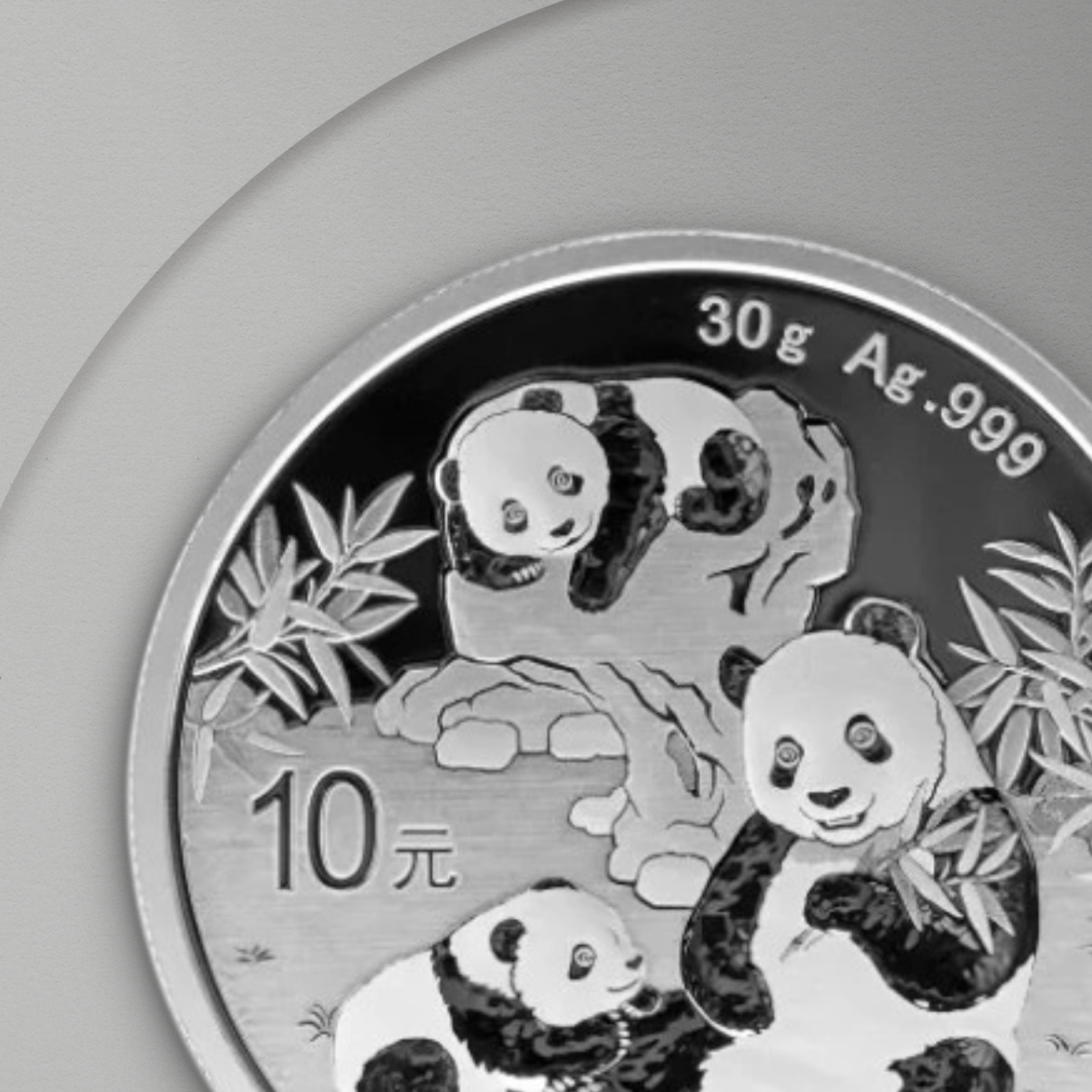 30 гр. – Сребърна Монета Китайска Панда (China Panda) 2025