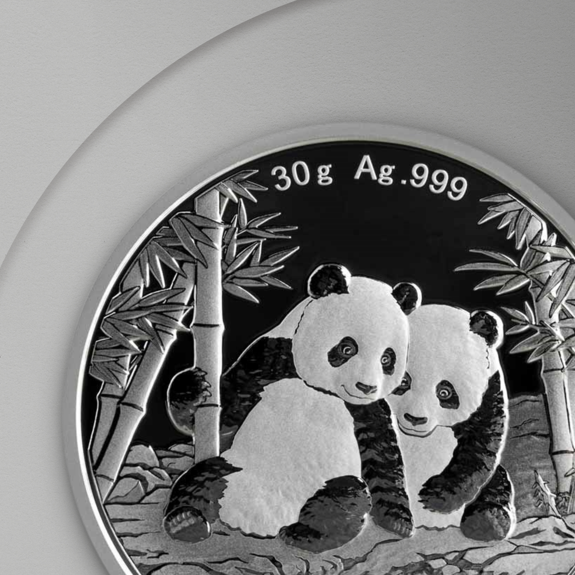 30 гр. – Сребърна Монета Китайска Панда (China Panda) 2026
