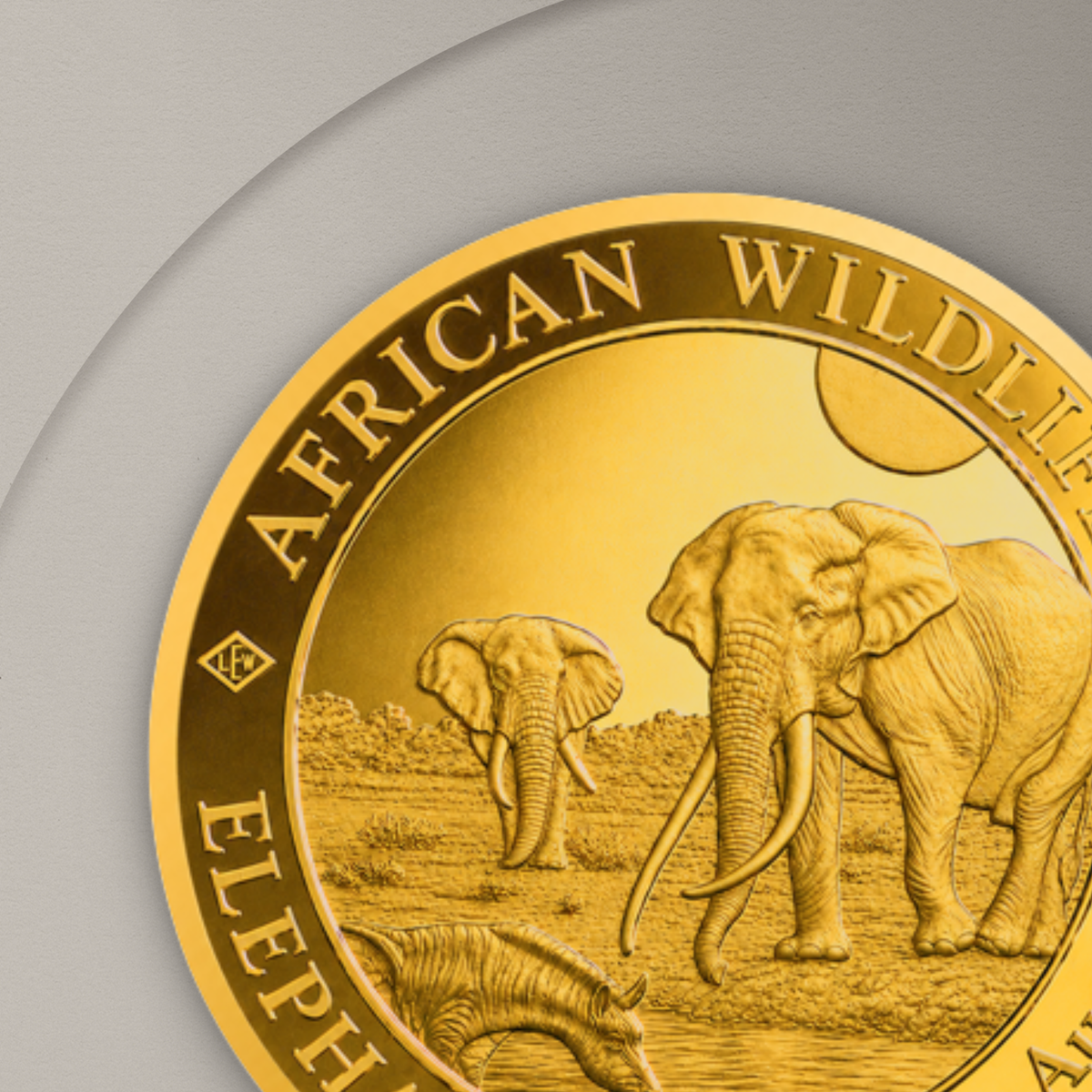 3.11 гр. (1/10 oz) – Златна Монета Сомалийски слон (Somalia Elephant) 2026