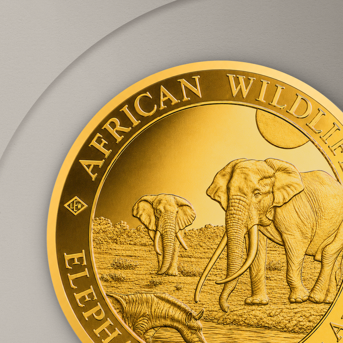 7.78 гр. (1/4 oz) – Златна Монета Сомалийски слон (Somalia Elephant) 2026