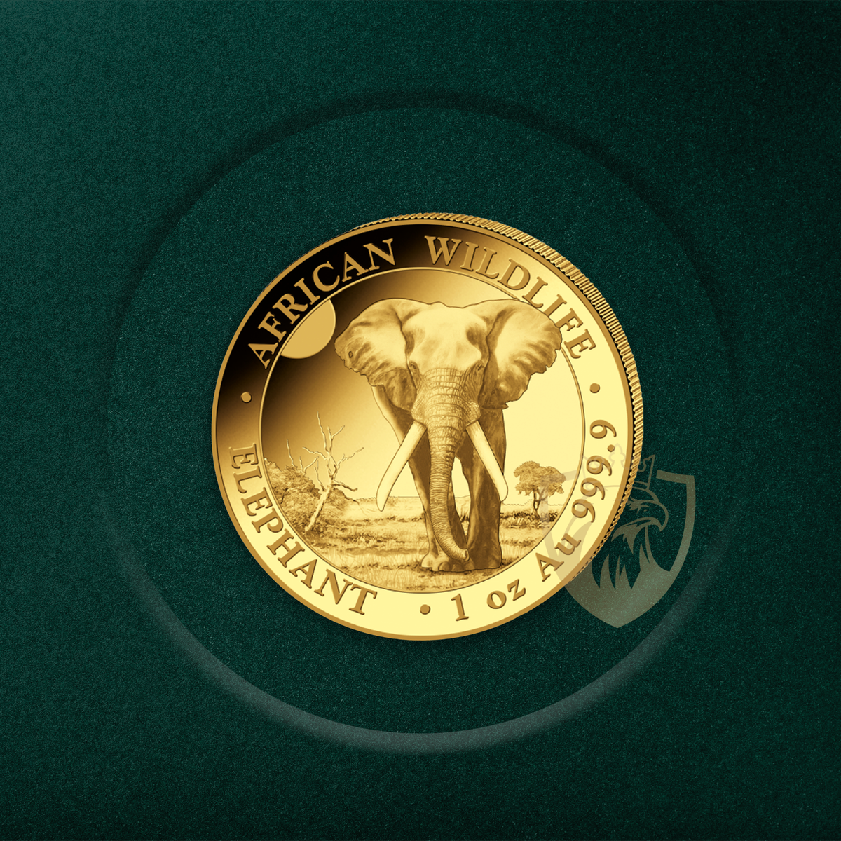 31.1 g (1 oz) – Златна Монета Сомалийски слон (Somalia Elephant) 2025