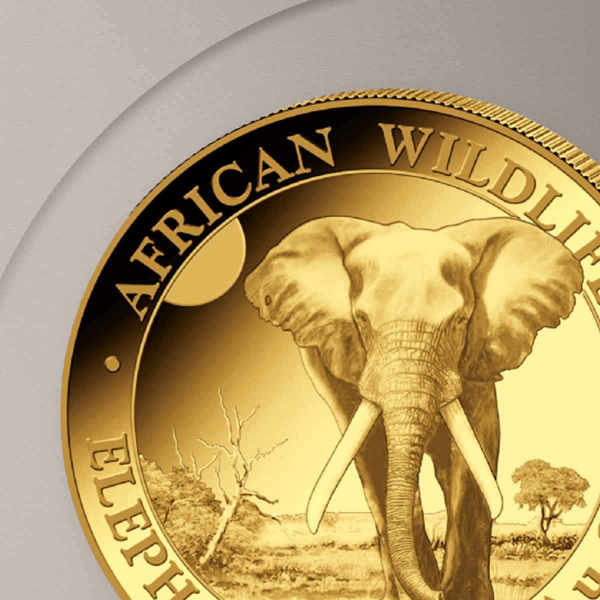 31.1 g (1 oz) – Златна Монета Сомалийски слон (Somalia Elephant) 2025