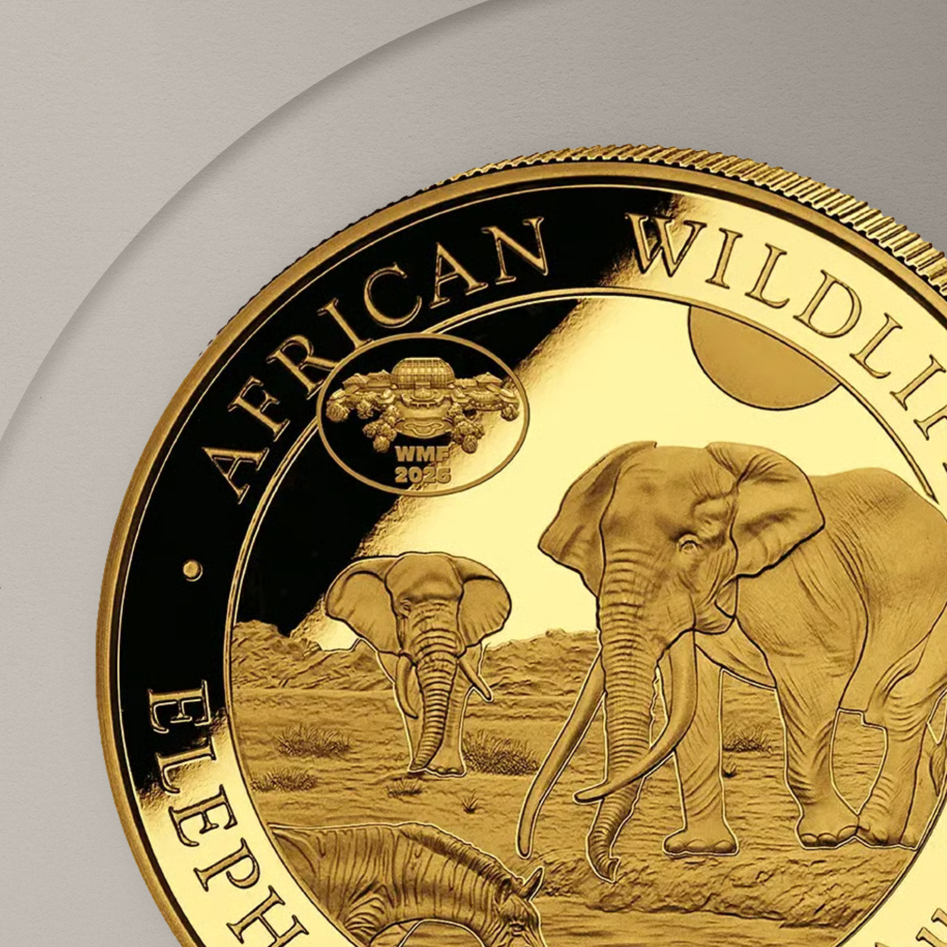 31.1 гр. (1 oz) – Златна Монета Сомалийски слон (Somalia Elephant) 2026 WMF Berlin Специално Издание