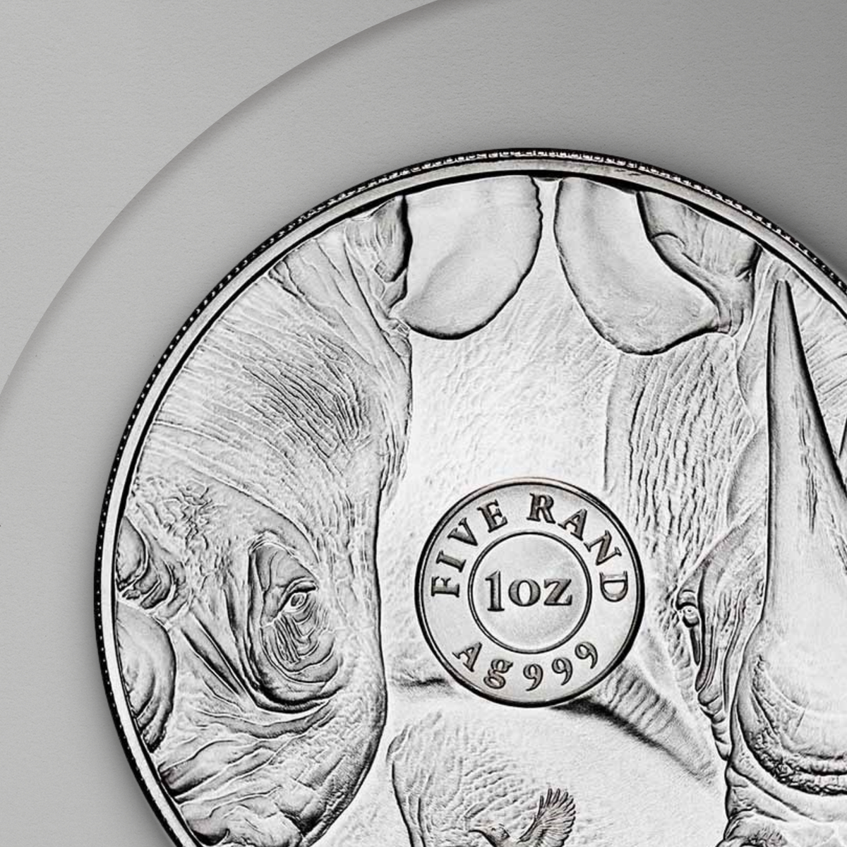 31.10 гр. – Сребърна Монета Южна Африка „Big Five“ – Носорог 2025 (Серия III)